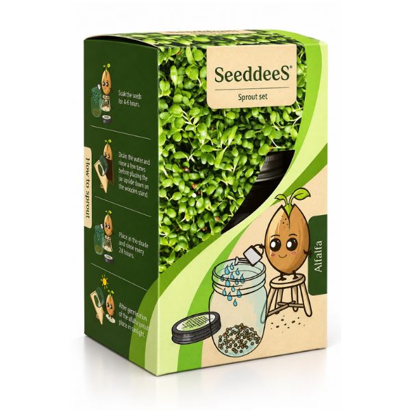 SeeddeeS® kiemgroente alfalfa - Glazen pot